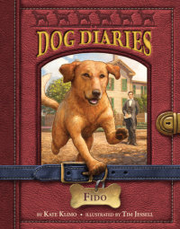 Book cover for Dog Diaries #13: Fido