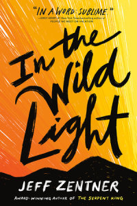 Cover of In the Wild Light cover