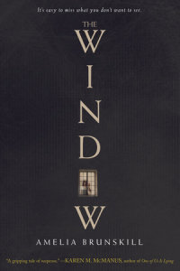 Book cover for The Window