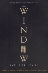 Cover of The Window