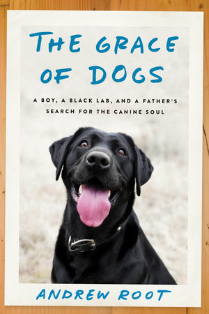 The Grace of Dogs Cover