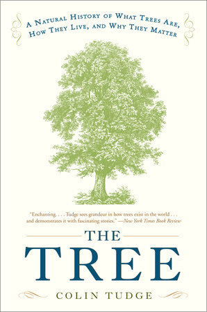 The Tree cover