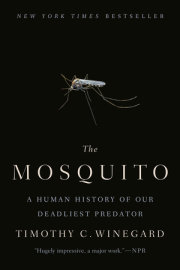 The Mosquito 