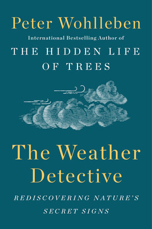 The Weather Detective