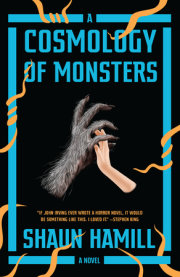 A Cosmology of Monsters 