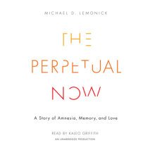 The Perpetual Now Cover