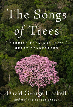 The Songs of Trees Cover