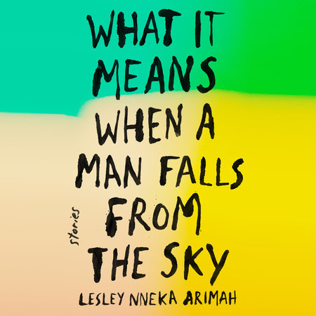 What It Means When a Man Falls from the Sky Cover
