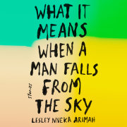 What It Means When a Man Falls from the Sky 