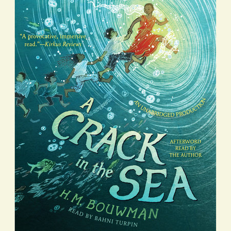 A Crack in the Sea by H. M. Bouwman