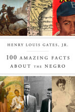 100 Amazing Facts About the Negro Cover