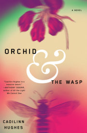 The Orchid and the Wasp by Caoilinn Hughes
