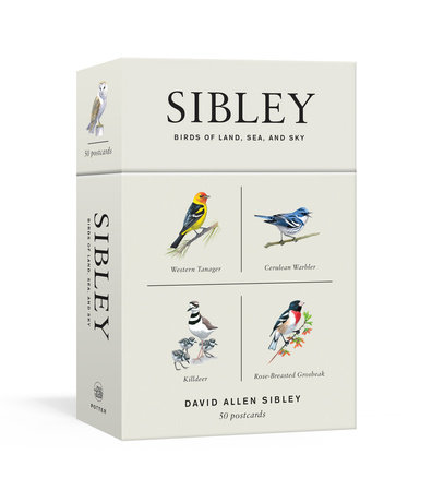 Sibley Birds of Land, Sea, and Sky