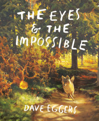 Cover of The Eyes and the Impossible cover
