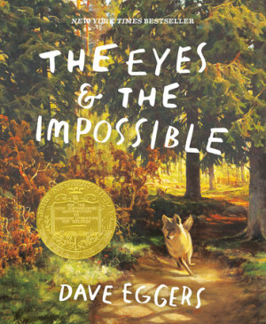 Cover of The Eyes and the Impossible