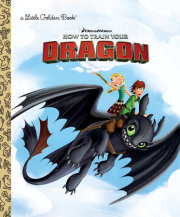 DreamWorks How To Train Your Dragon 