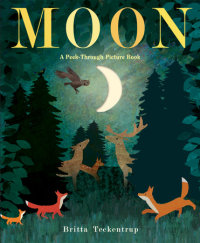 Cover of Moon: A Peek-Through Picture Book