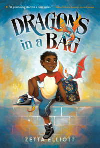 Cover of Dragons in a Bag cover