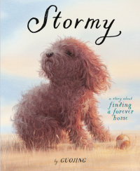 Cover of Stormy