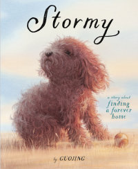 Cover of Stormy cover