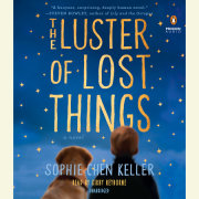 The Luster of Lost Things 