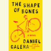 The Shape of Bones 