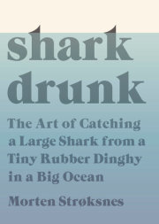 Shark Drunk 