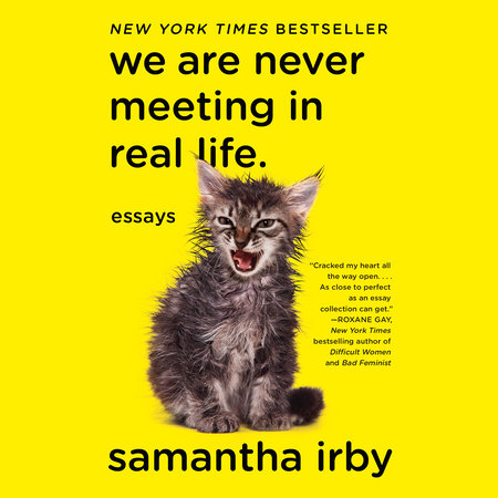 We Are Never Meeting in Real Life by Samantha Irby