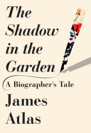 The Shadow in the Garden 