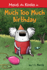 Much Too Much Birthday 