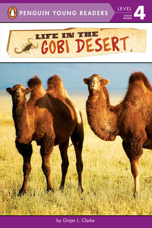 gobi desert animals