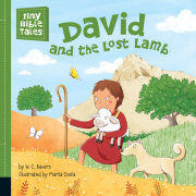 David and the Lost Lamb 