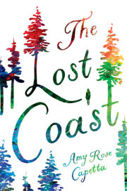 The Lost Coast 