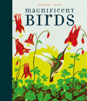 Magnificent Birds 