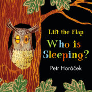 Who Is Sleeping? 