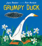 Grumpy Duck 