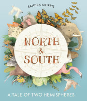 North and South: A Tale of Two Hemispheres 