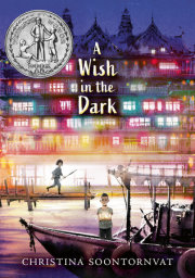 A Wish in the Dark 