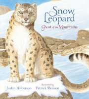 Snow Leopard: Ghost of the Mountains 