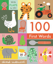 100 First Words: With Flaps to Lift 
