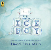 Ice Boy 