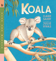Koala 