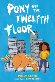Pony on the Twelfth Floor 
