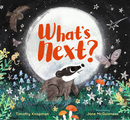 What's Next? by Timothy Knapman: 9781536209891