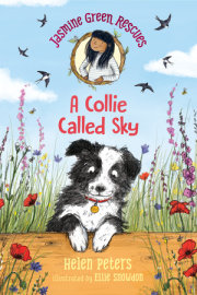 Jasmine Green Rescues: A Collie Called Sky 
