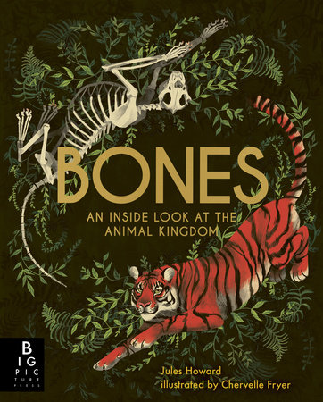 Bones: An Inside Look at the Animal Kingdom by Jules Howard: 9781536210415  : Books