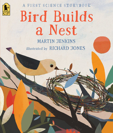 Bird Nests Tell Extraordinary Stories, If You Learn How to Read Them