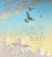 How to Make a Bird 