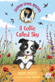 Jasmine Green Rescues: A Collie Called Sky 