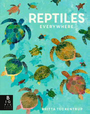 Reptiles Everywhere 